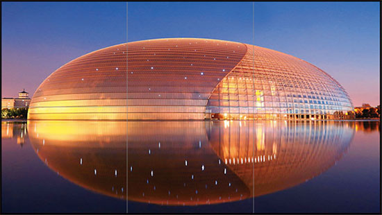 麻d国产传媒大象