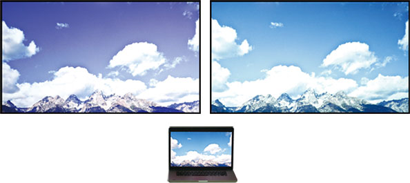 麻d国产传媒大象