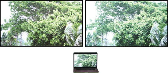 麻d国产传媒大象