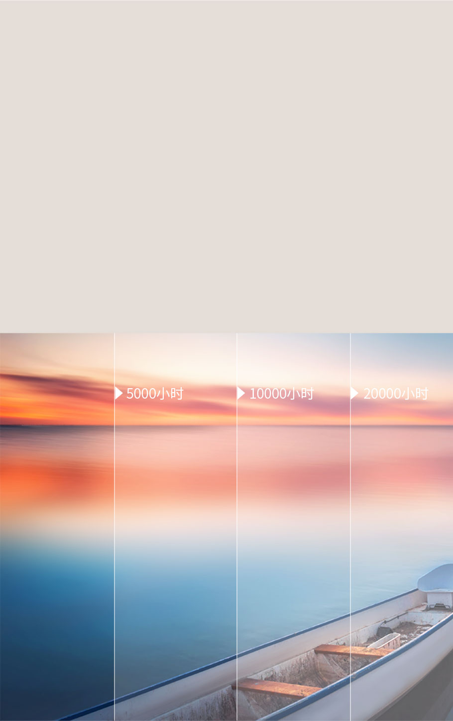 麻d国产传媒大象