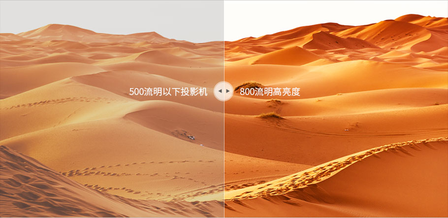 麻d国产传媒大象