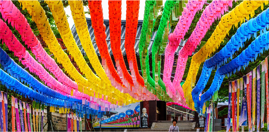 麻d国产传媒大象