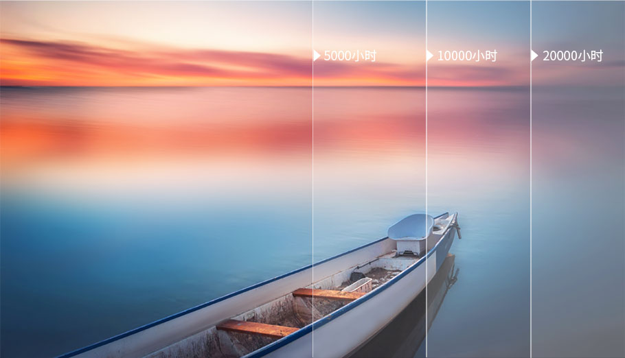 麻d国产传媒大象