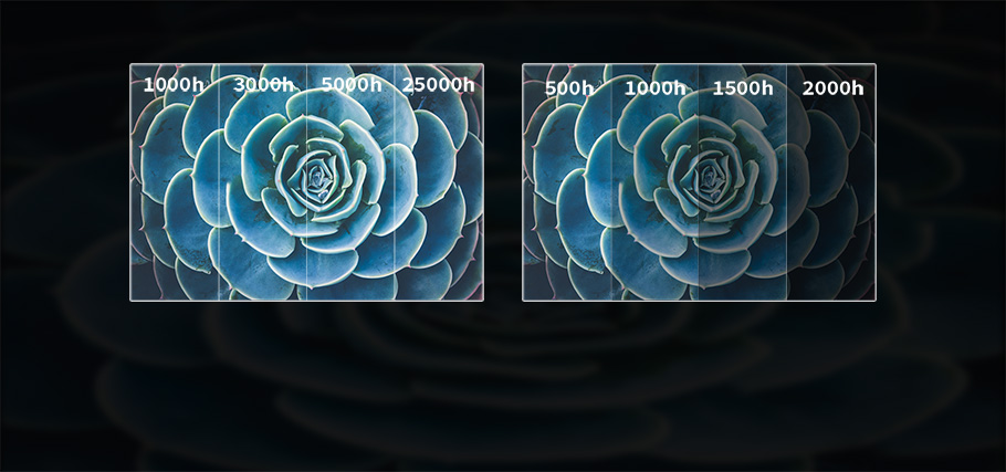 麻d国产传媒大象