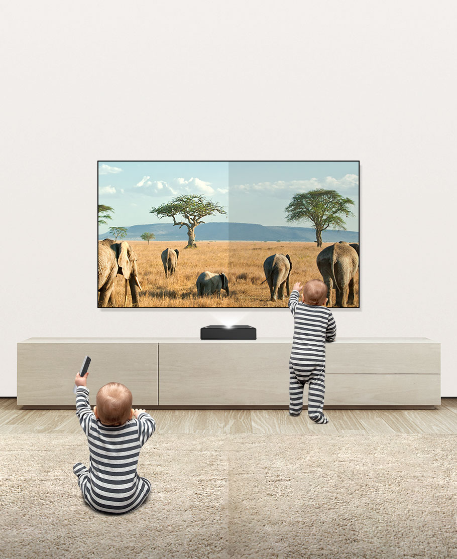 麻d国产传媒大象