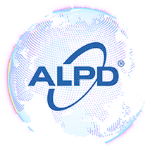 麻d国产传媒大象