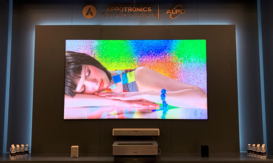 麻d国产传媒大象