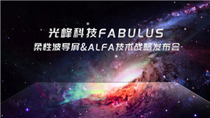 麻d国产传媒大象