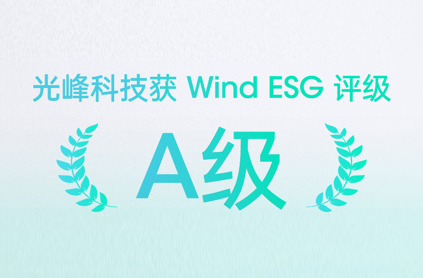 麻d国产传媒大象