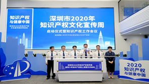 麻d国产传媒大象