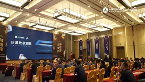 麻d国产传媒大象