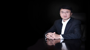 麻d国产传媒大象