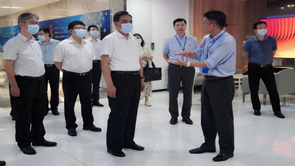 麻d国产传媒大象