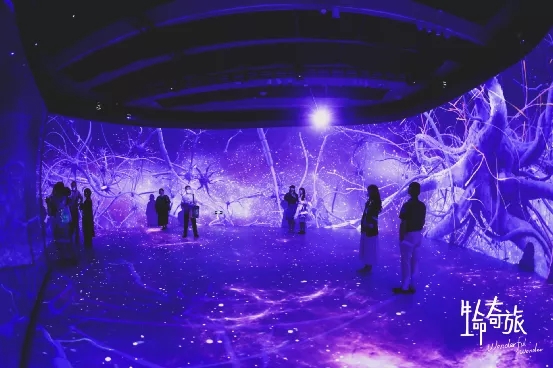 麻d国产传媒大象