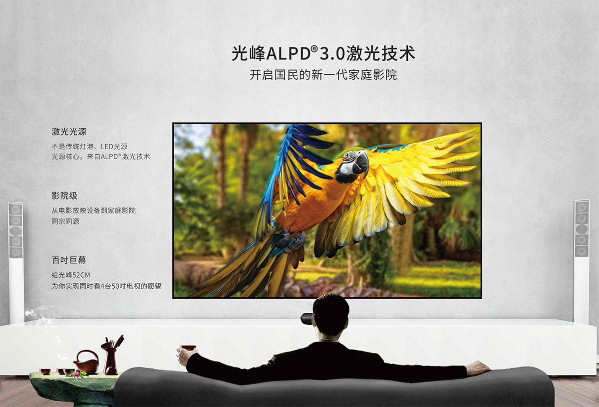 麻d国产传媒大象