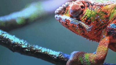 1555643263829867.jpg 1555643263829867.jpg