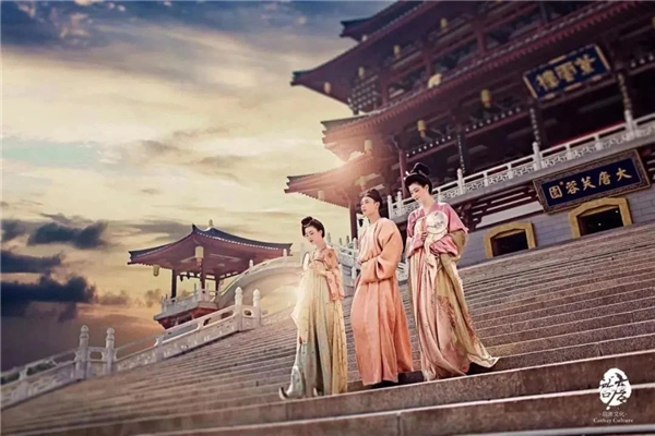 麻d国产传媒大象