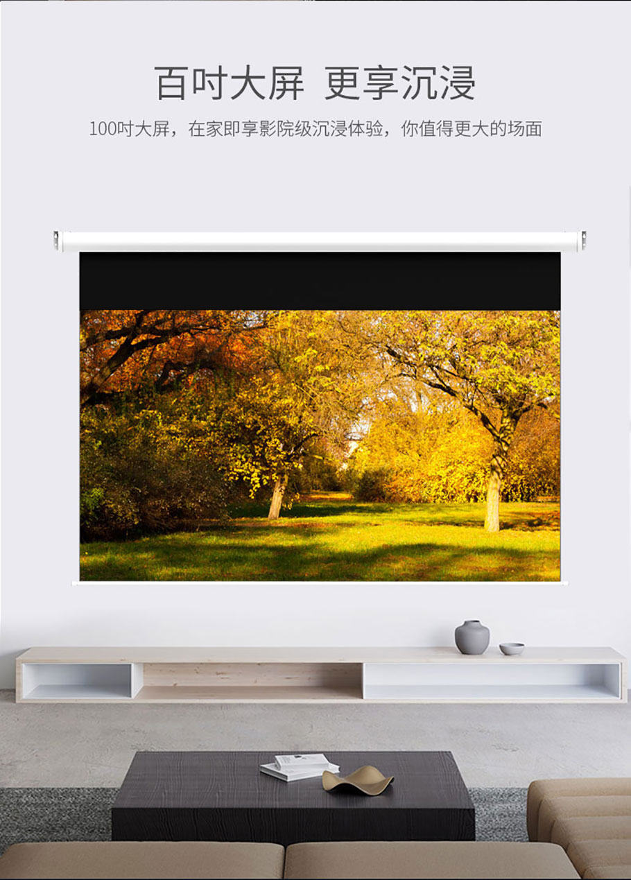 麻d国产传媒大象