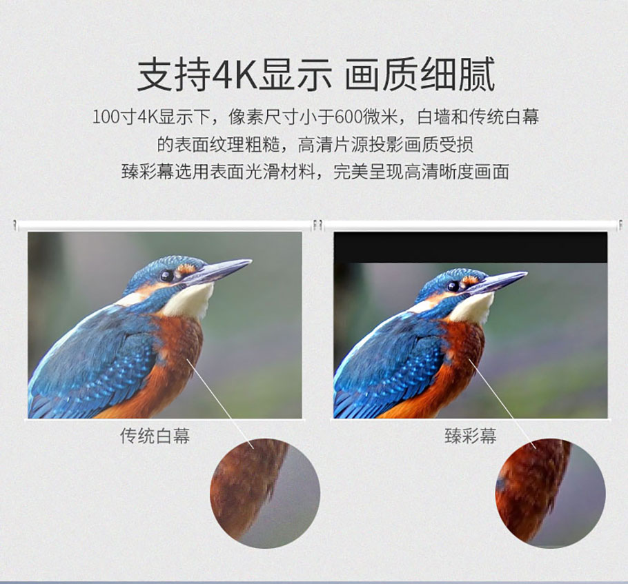 麻d国产传媒大象