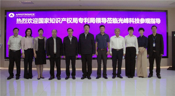 麻d国产传媒大象