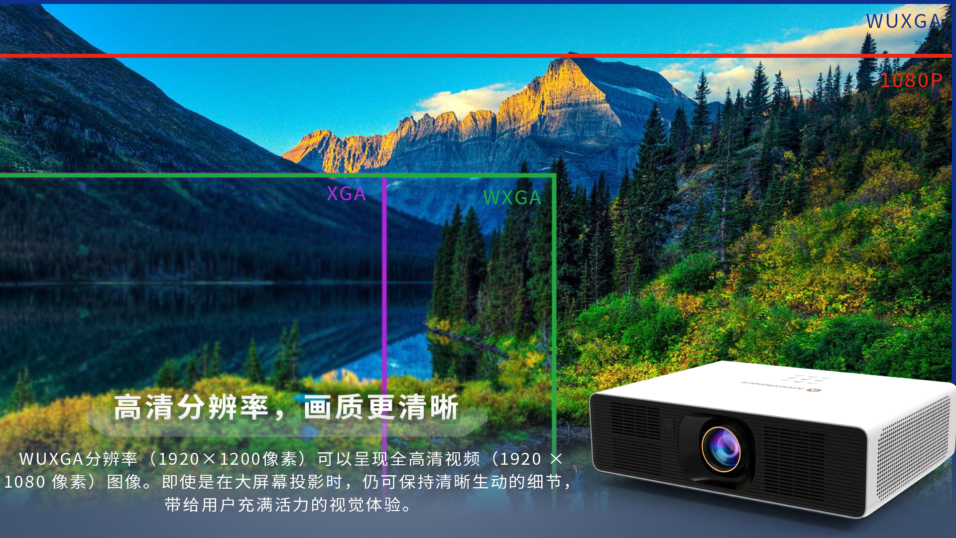 麻d国产传媒大象