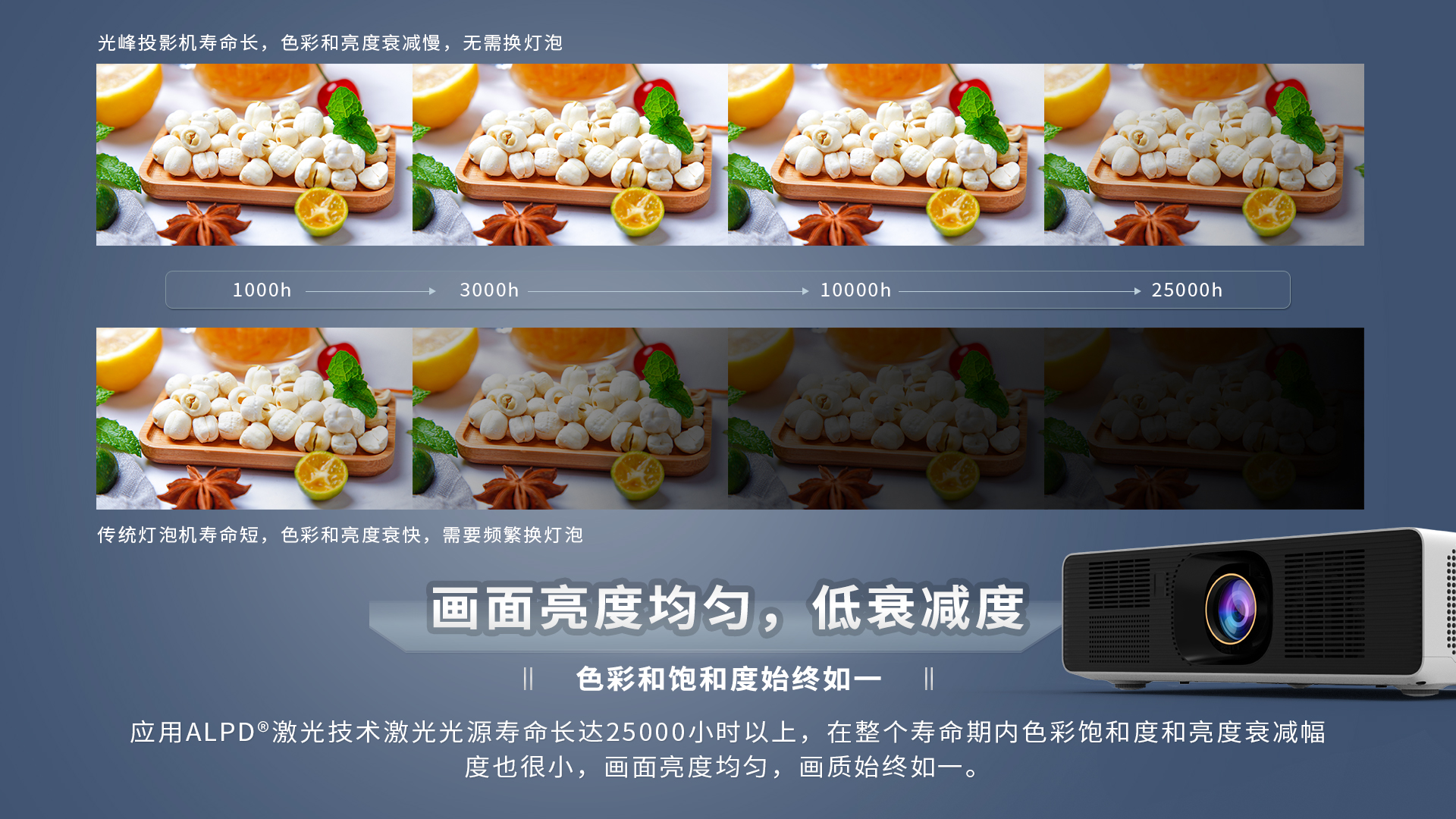 麻d国产传媒大象