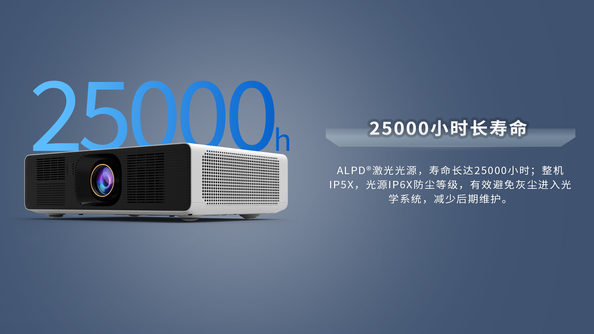 麻d国产传媒大象