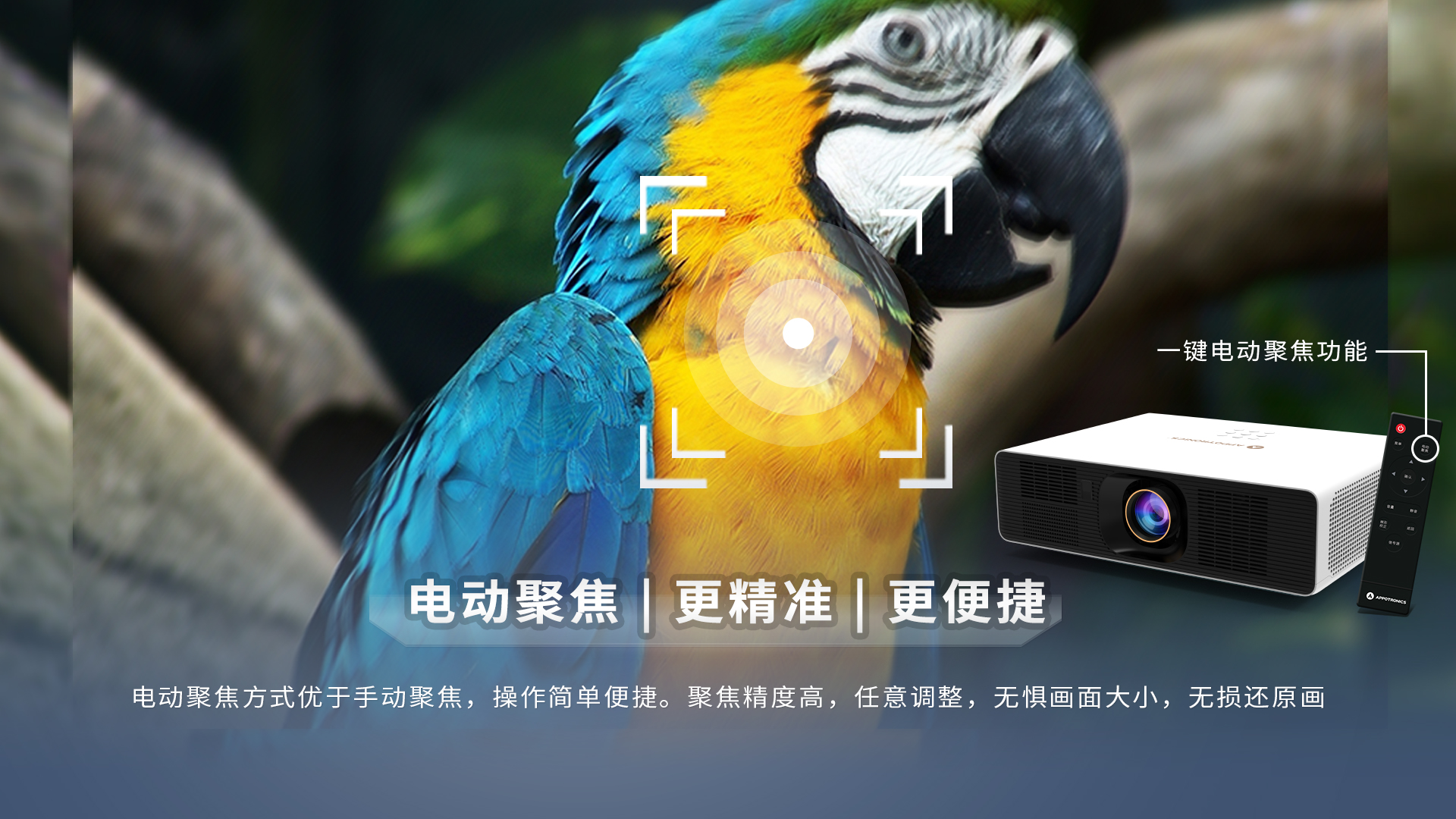 麻d国产传媒大象