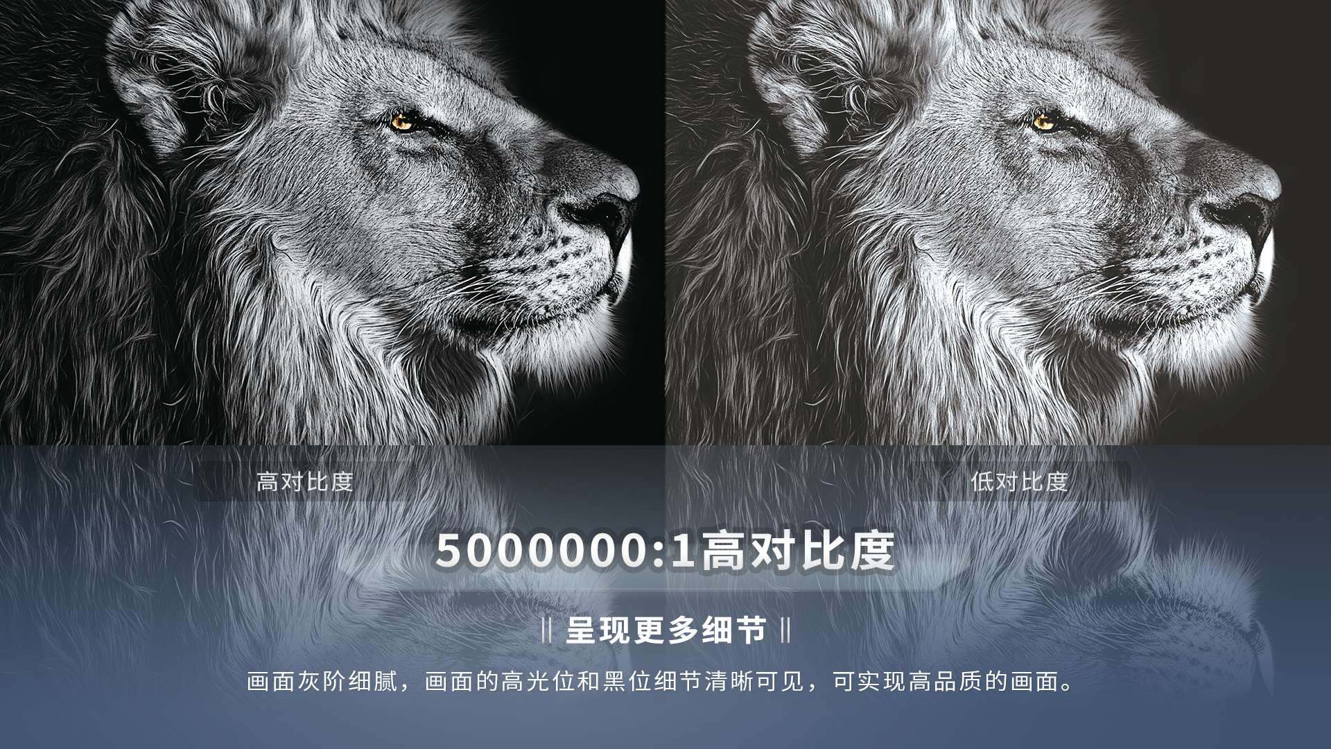 麻d国产传媒大象