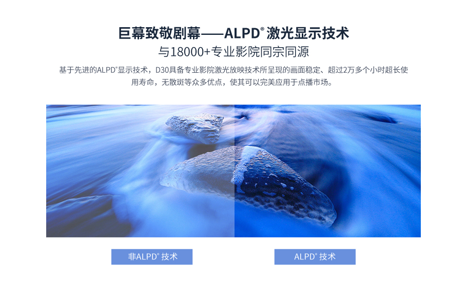 麻d国产传媒大象