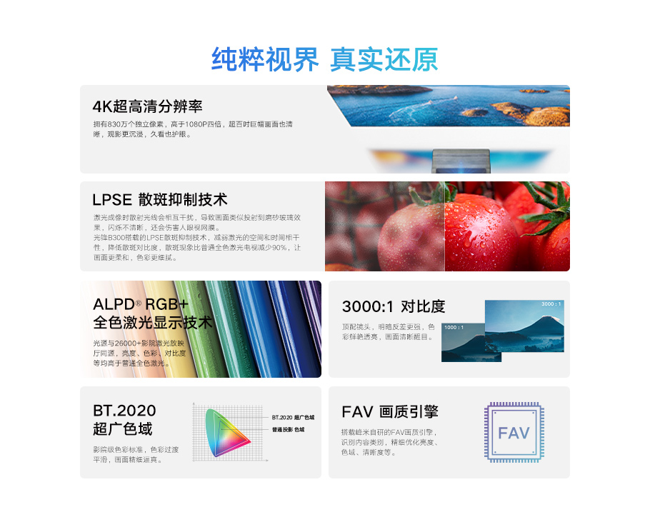 麻d国产传媒大象