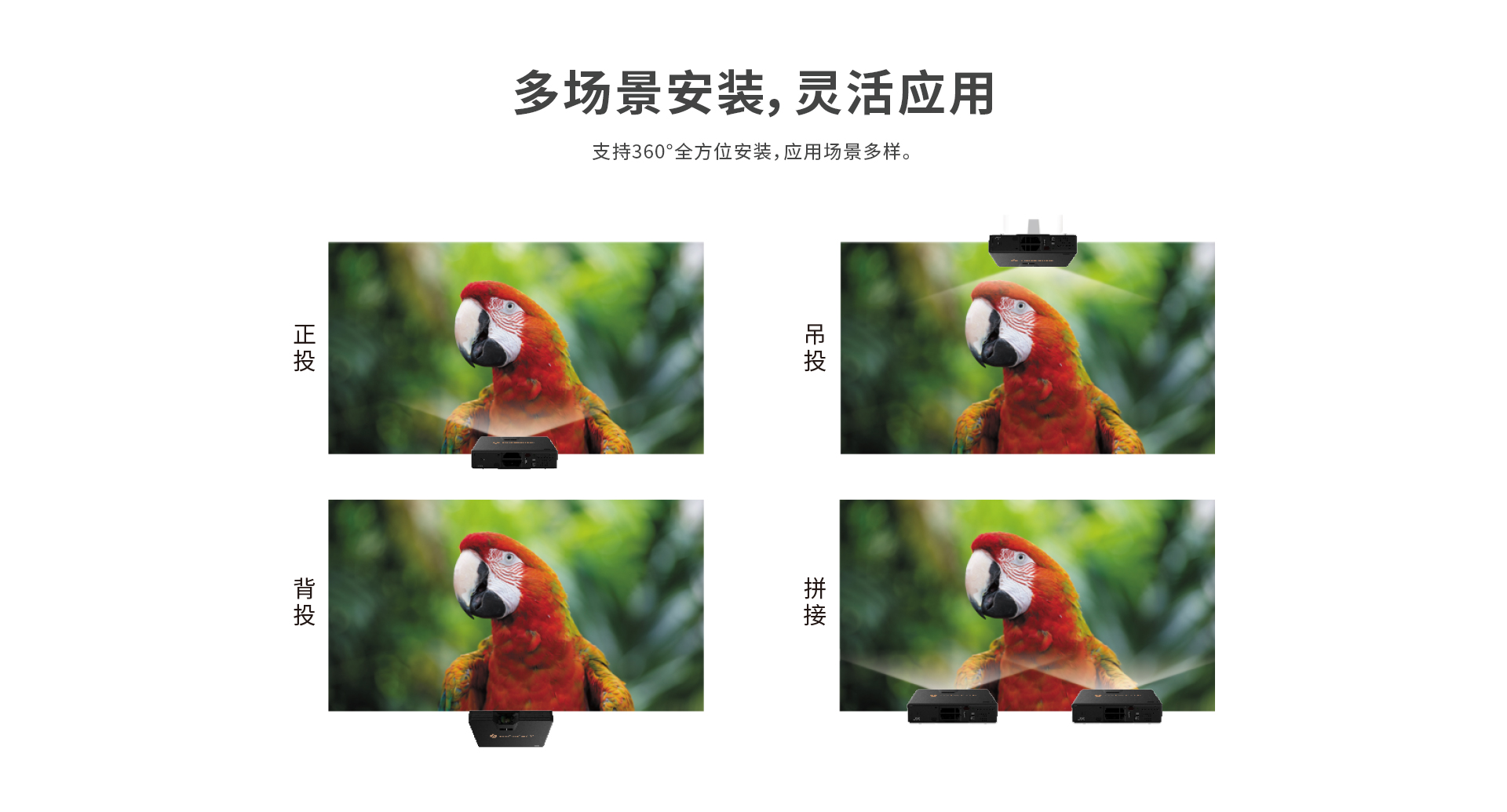 麻d国产传媒大象