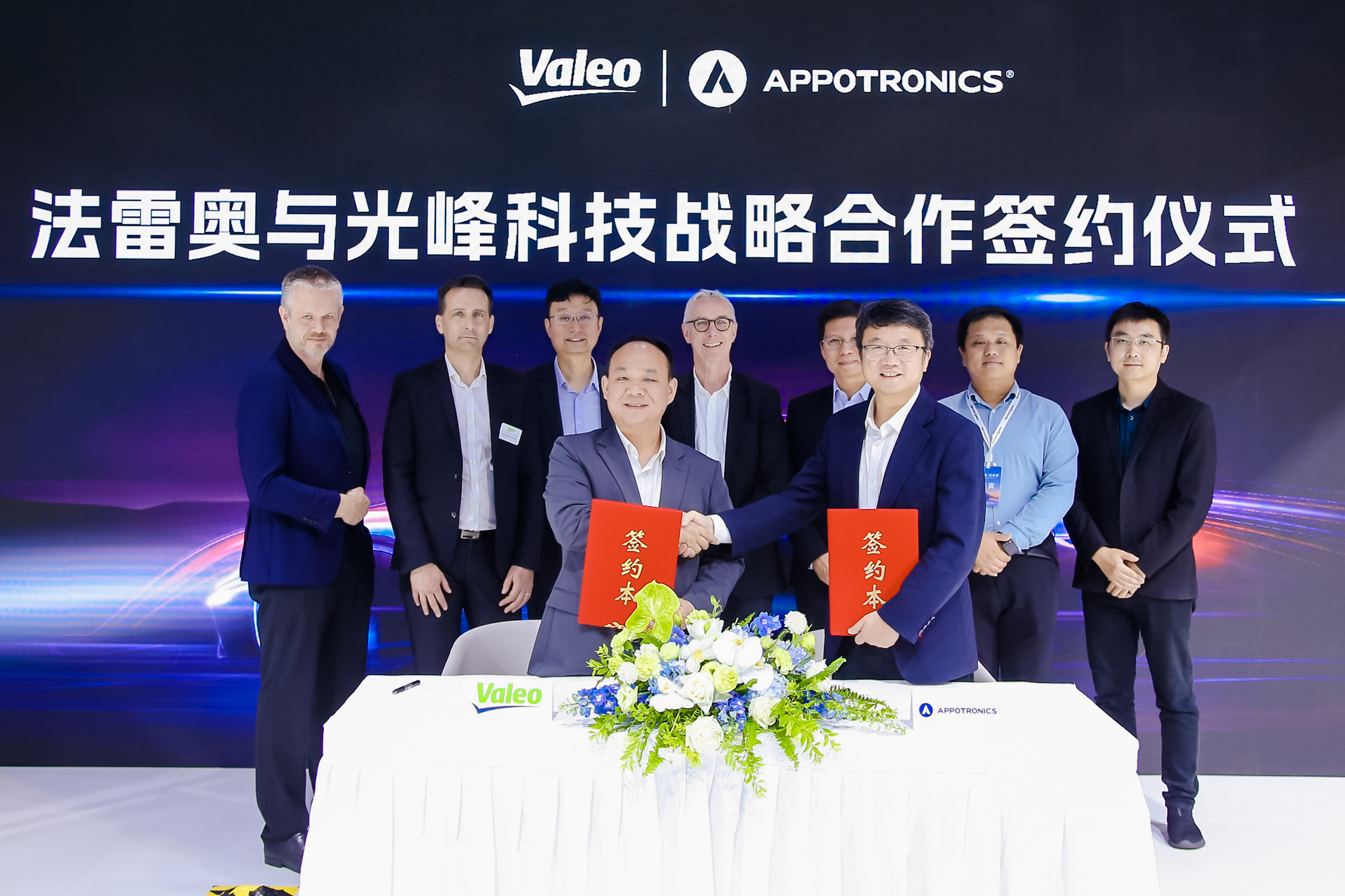 麻d国产传媒大象