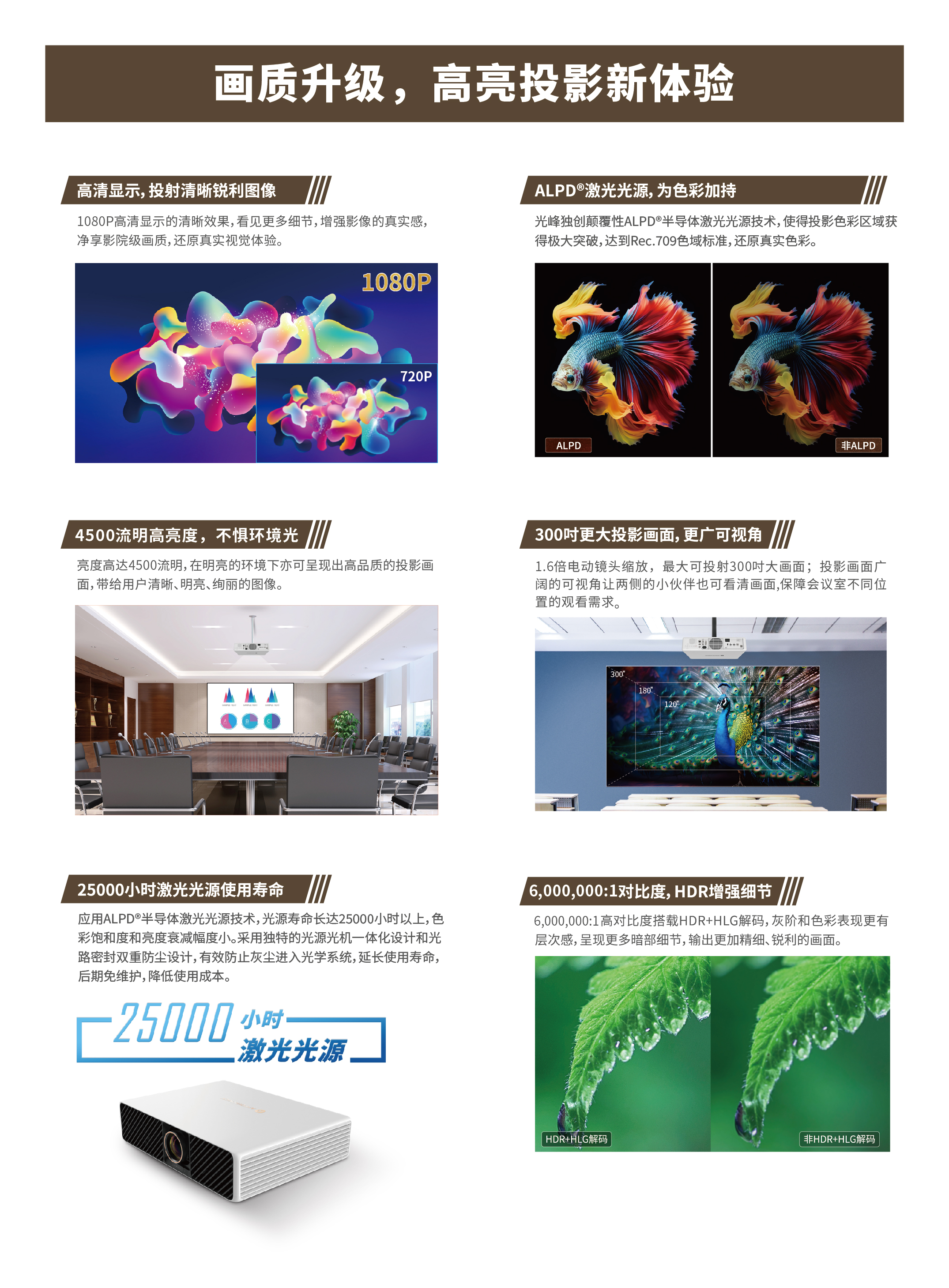 麻d国产传媒大象