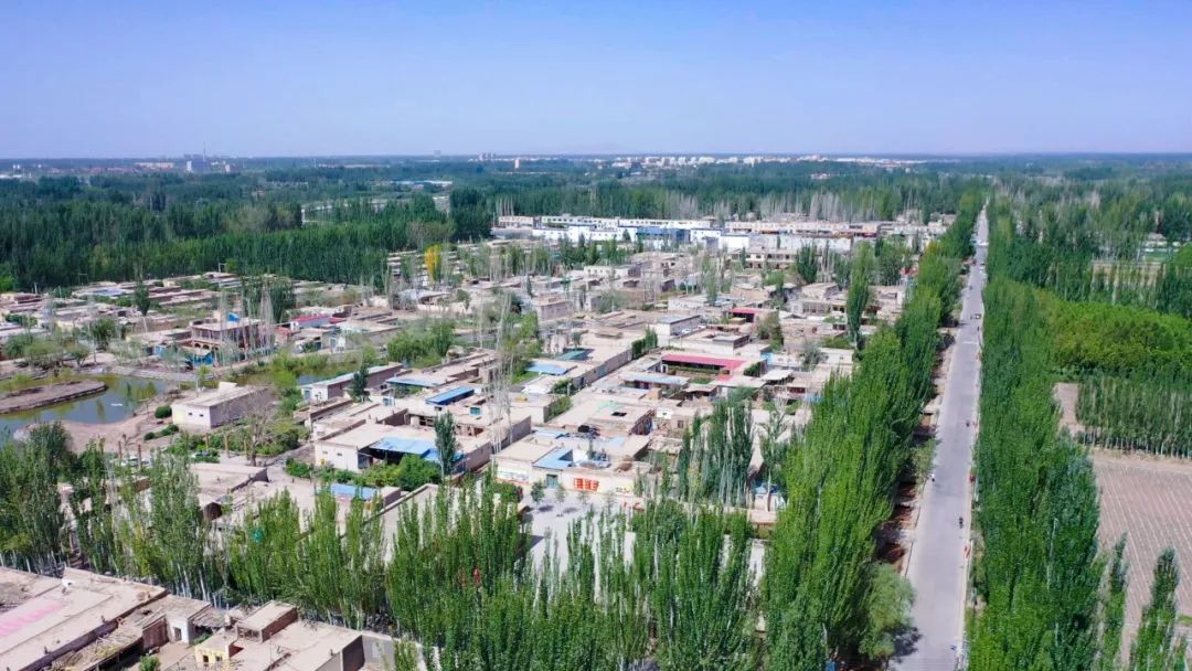 麻d国产传媒大象