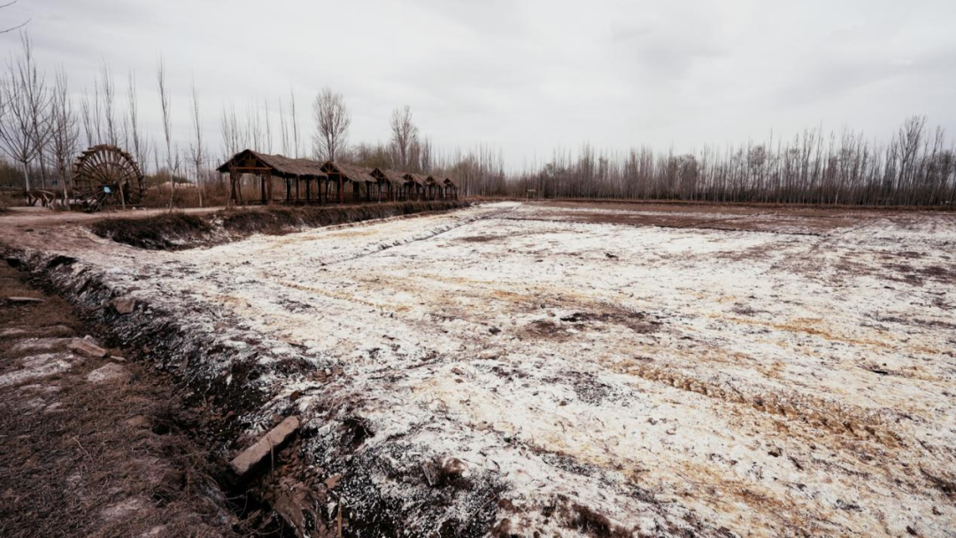 麻d国产传媒大象