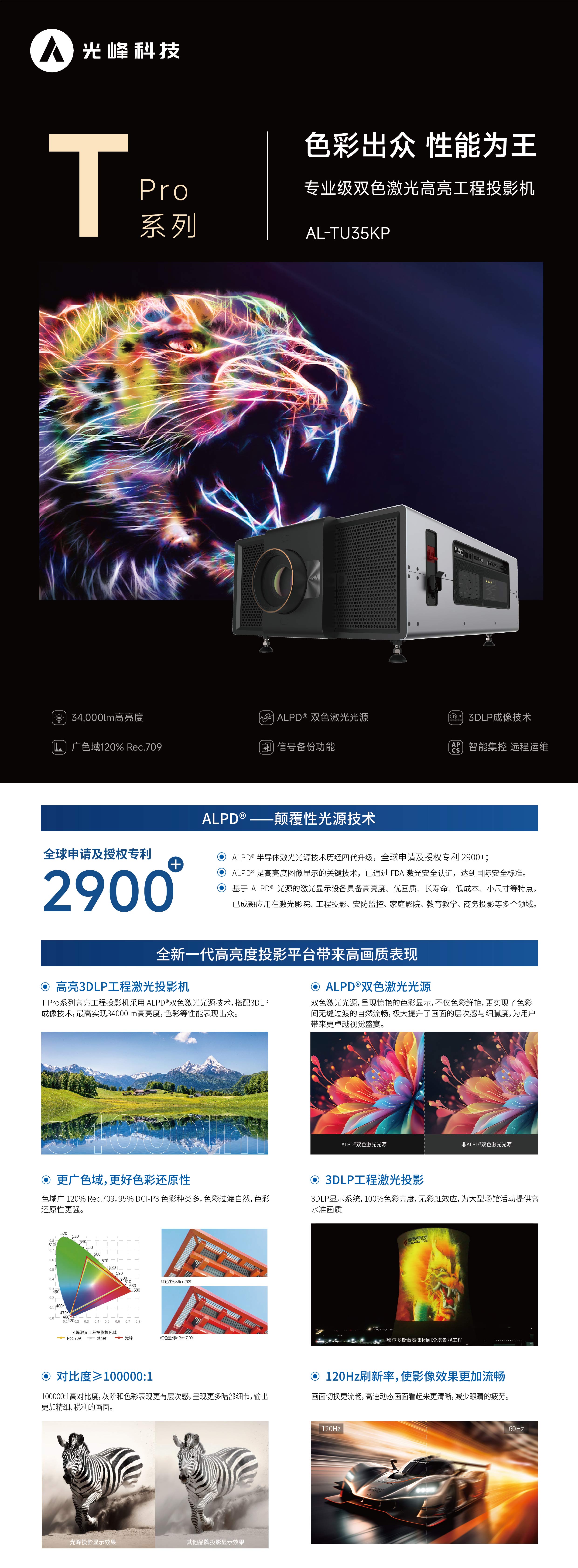 麻d国产传媒大象