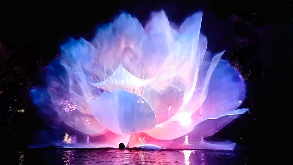 麻d国产传媒大象