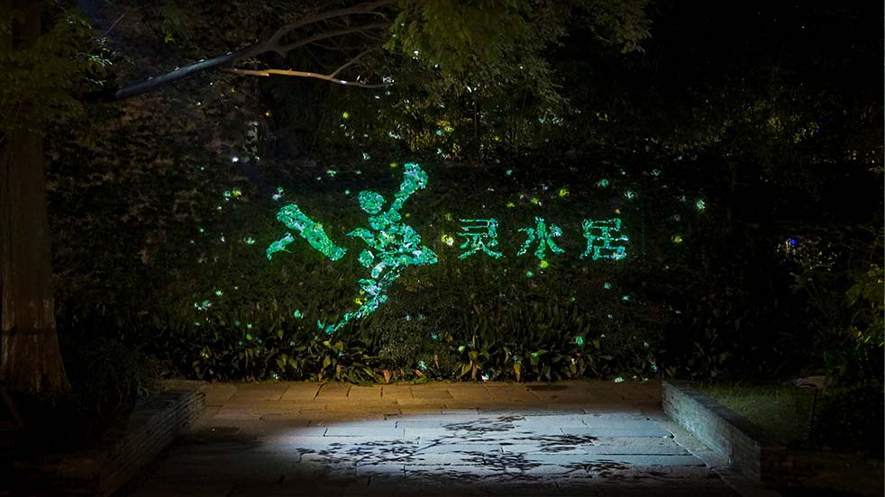 水幕投影 沉浸式光影秀 浙江乌镇《入梦灵水居》 光峰工程投影 树木投影 ALPD激光光源 